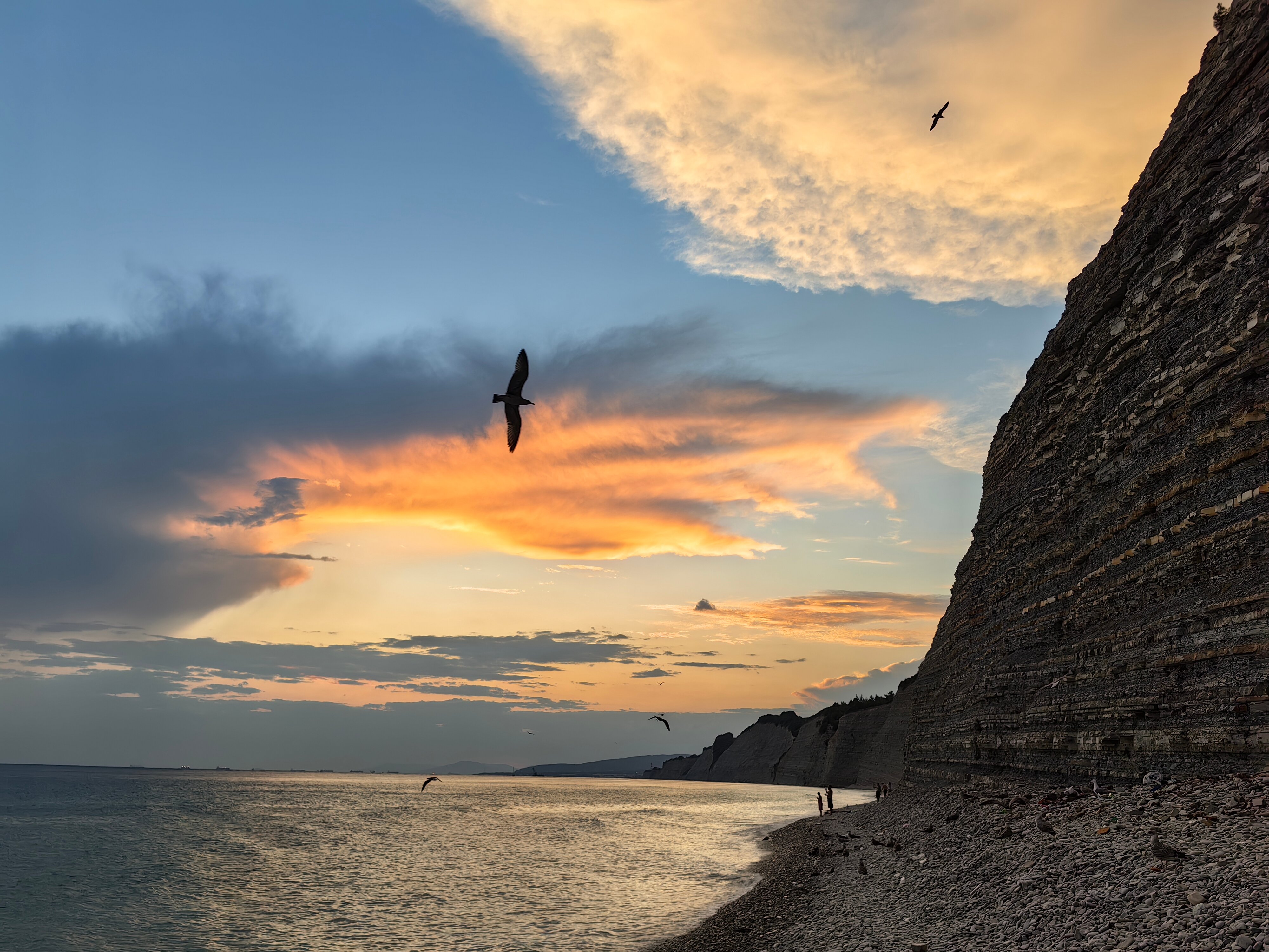 Фото Сосновка