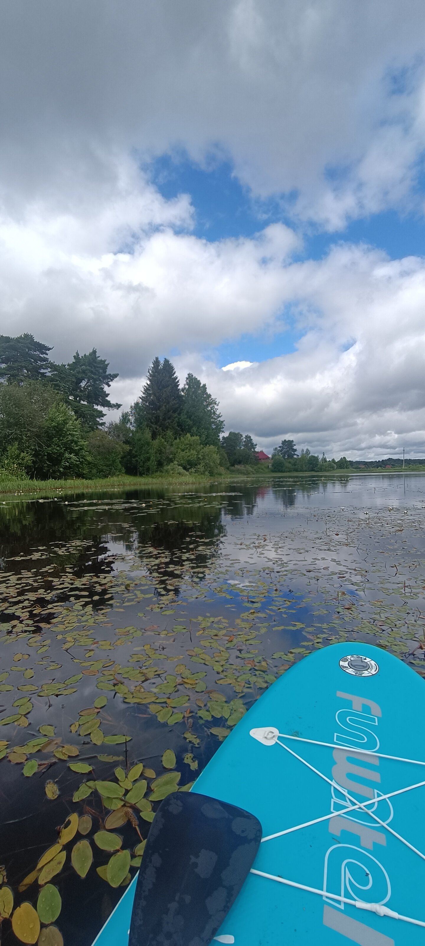 Фото Вселуг