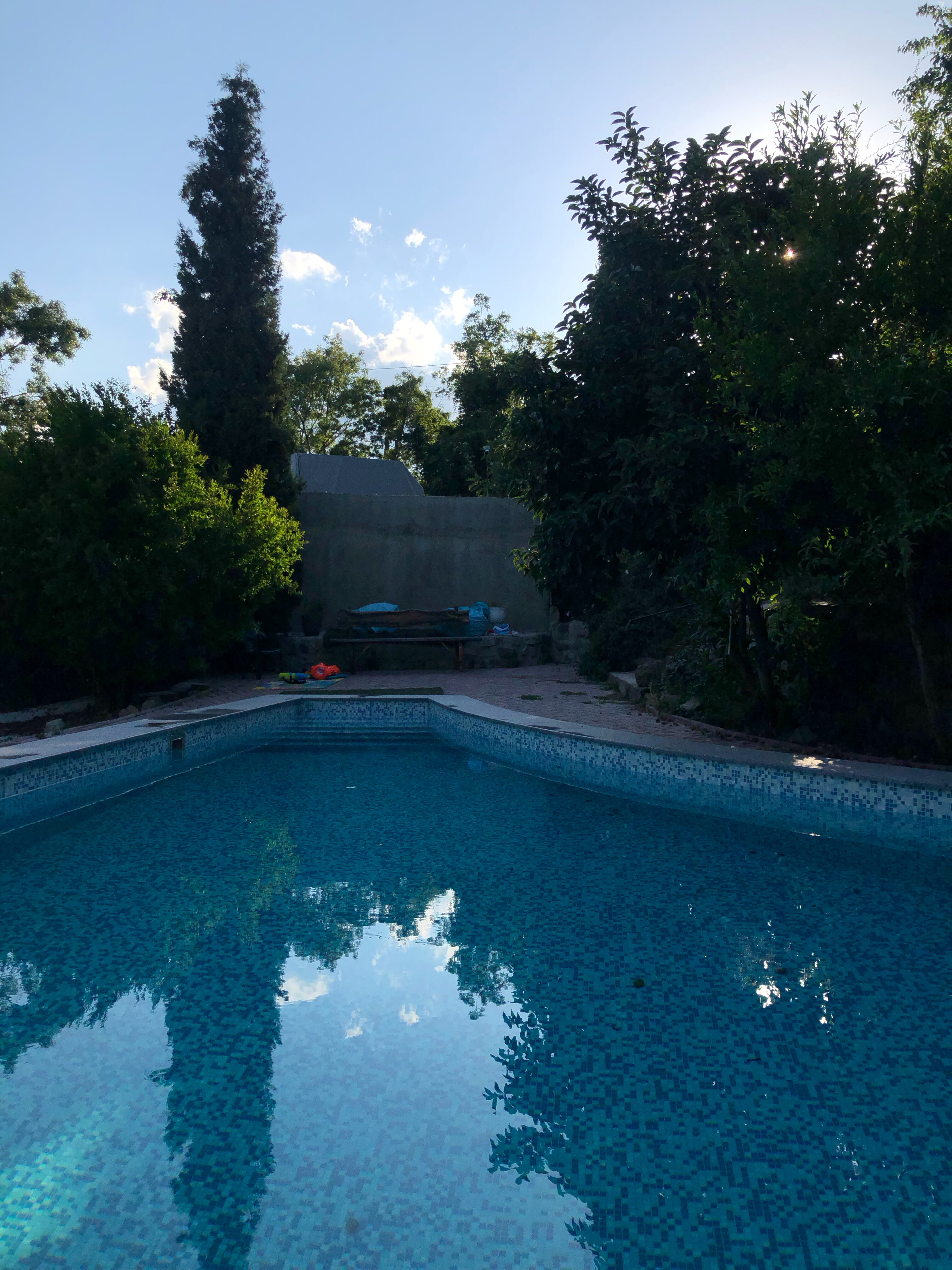 Фото Кипарис