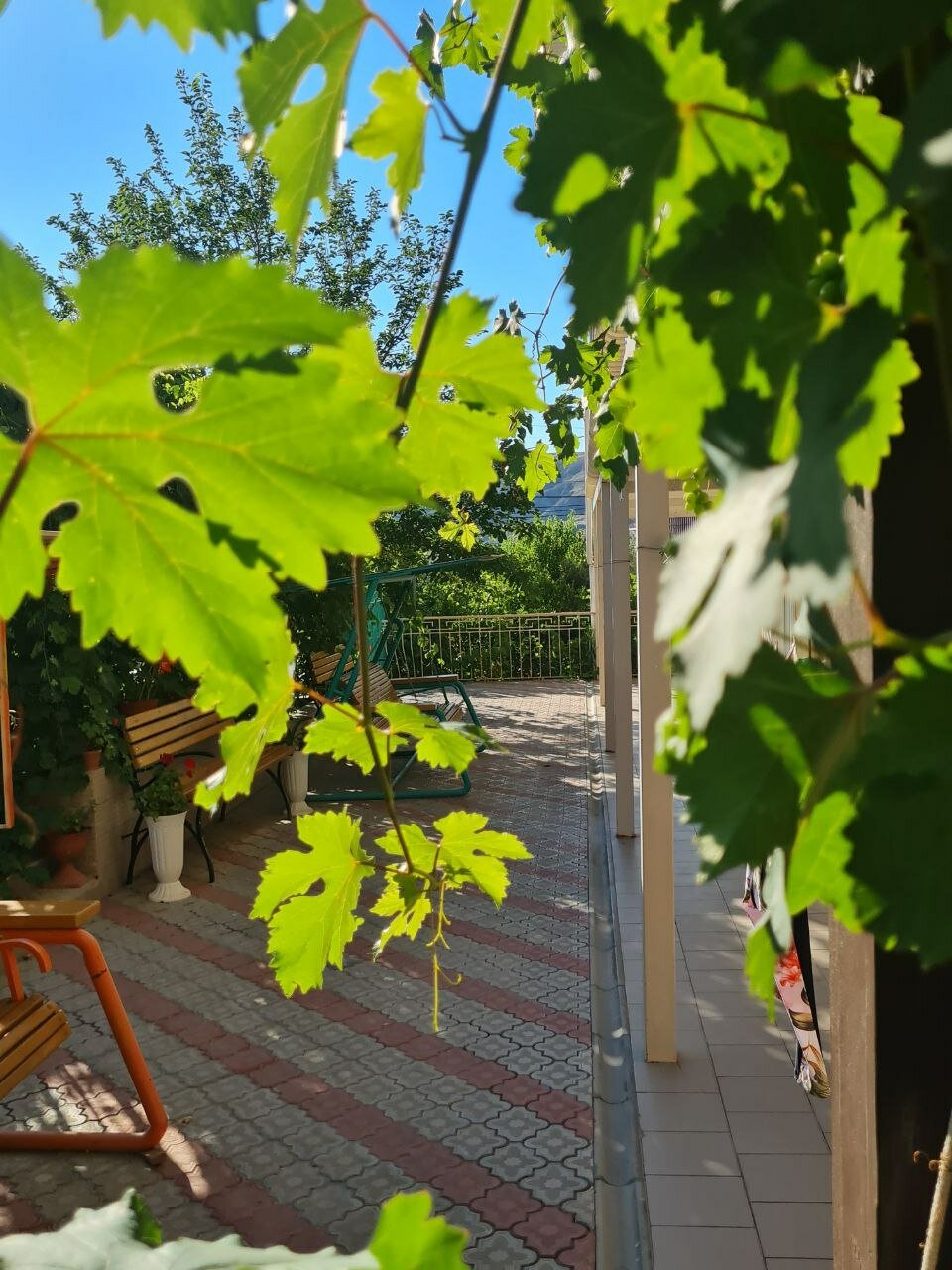 Фото Григорий