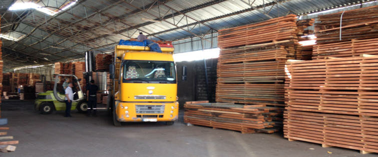 Lumber Bozkurt Kereste, Izmir, photo