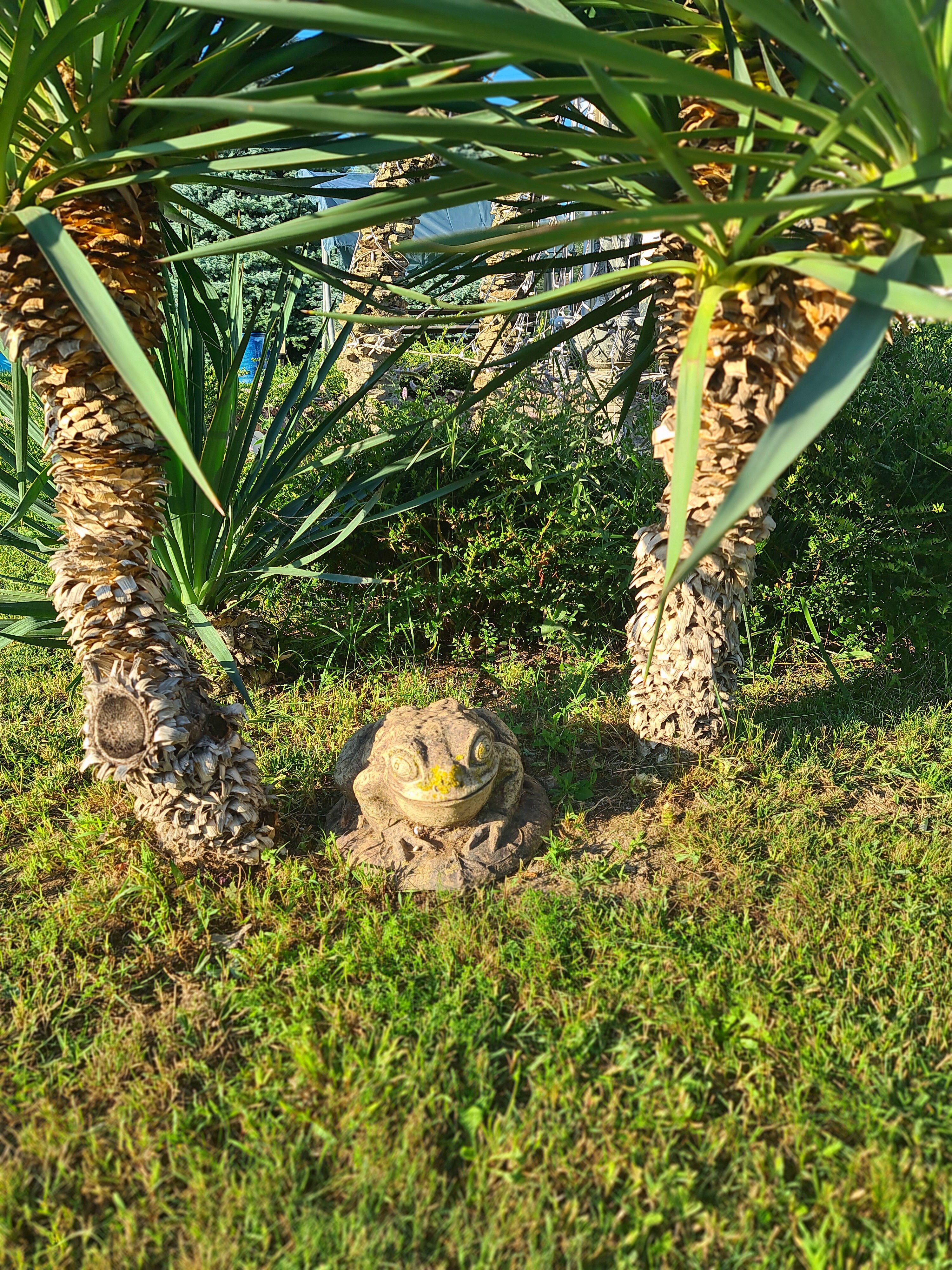 Фото Дионис