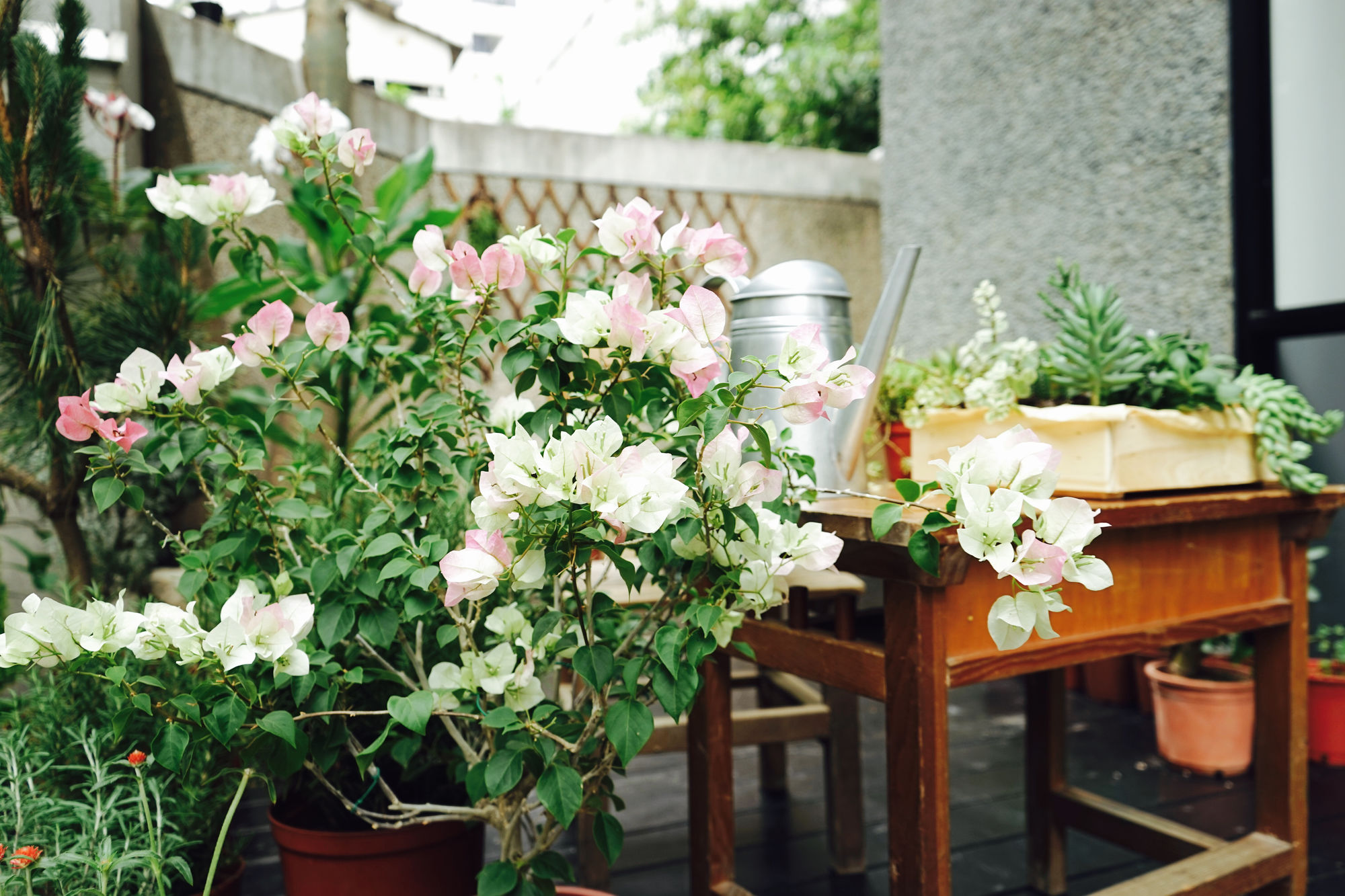 Фото Nihao Cafe Hotel