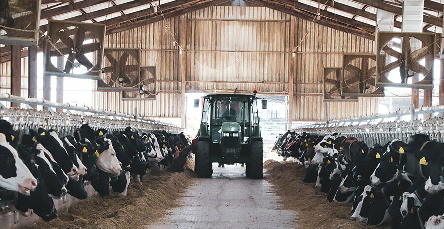 Agricultural goods Dost Agriculture and Livestock, Luleburgaz, photo