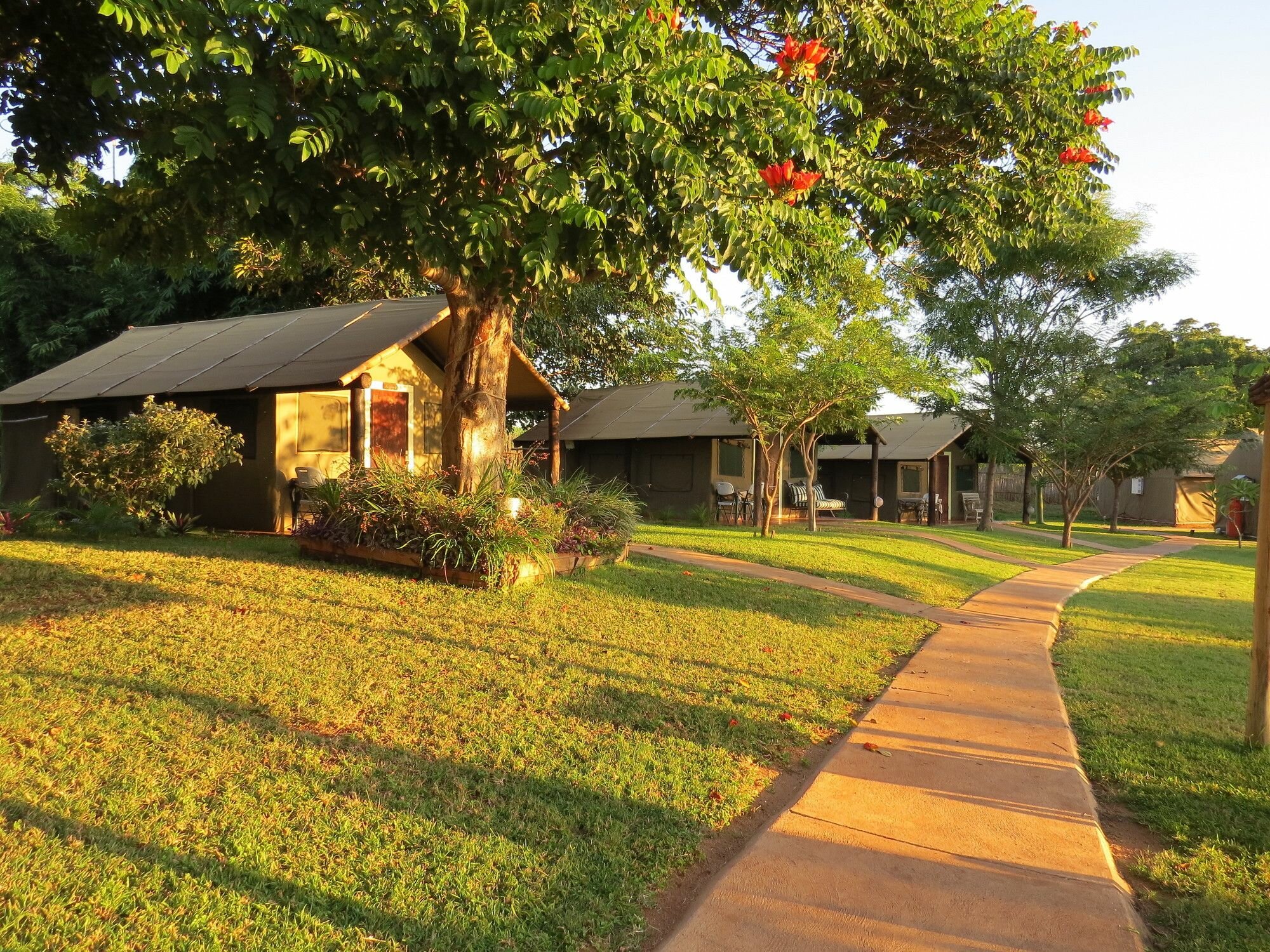 Фото Crocodile Bridge Safari Lodge