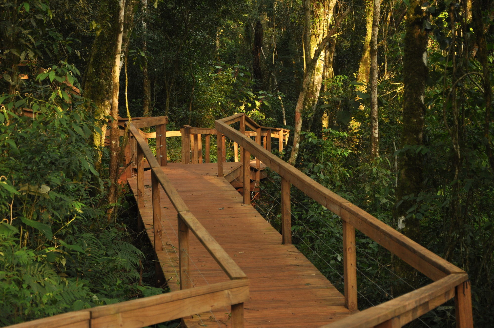 Фото Mocona Virgin Lodge