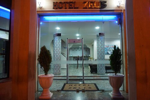 Гостиница Hotel Zelis