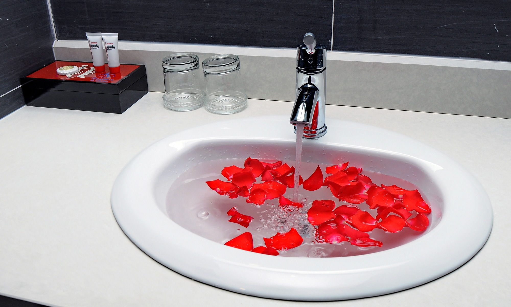 Фото Begonia Nha Trang