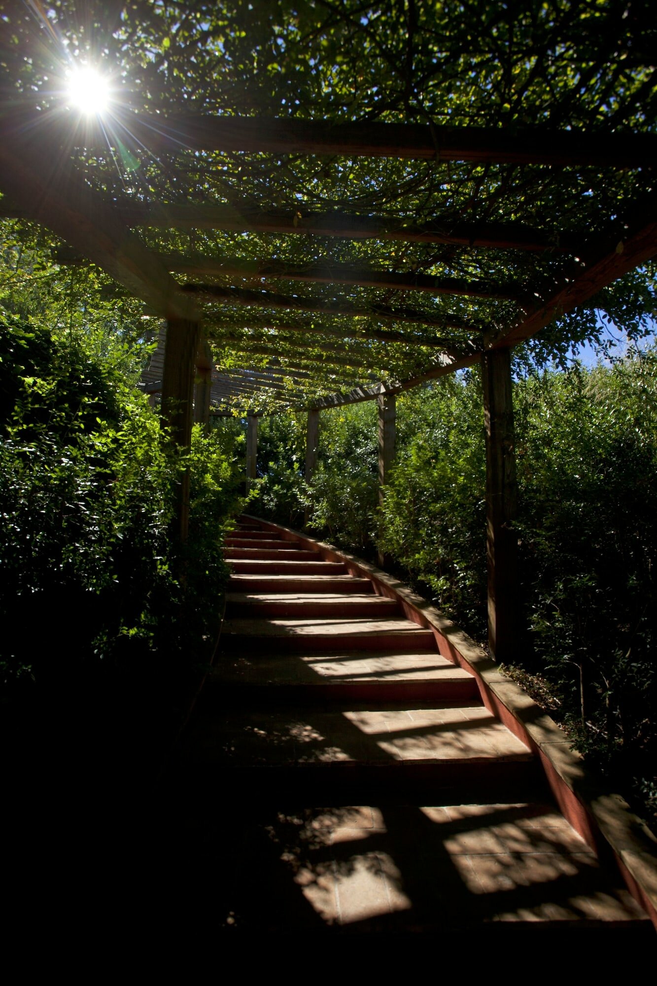 Фото Resort Locanda Rossa