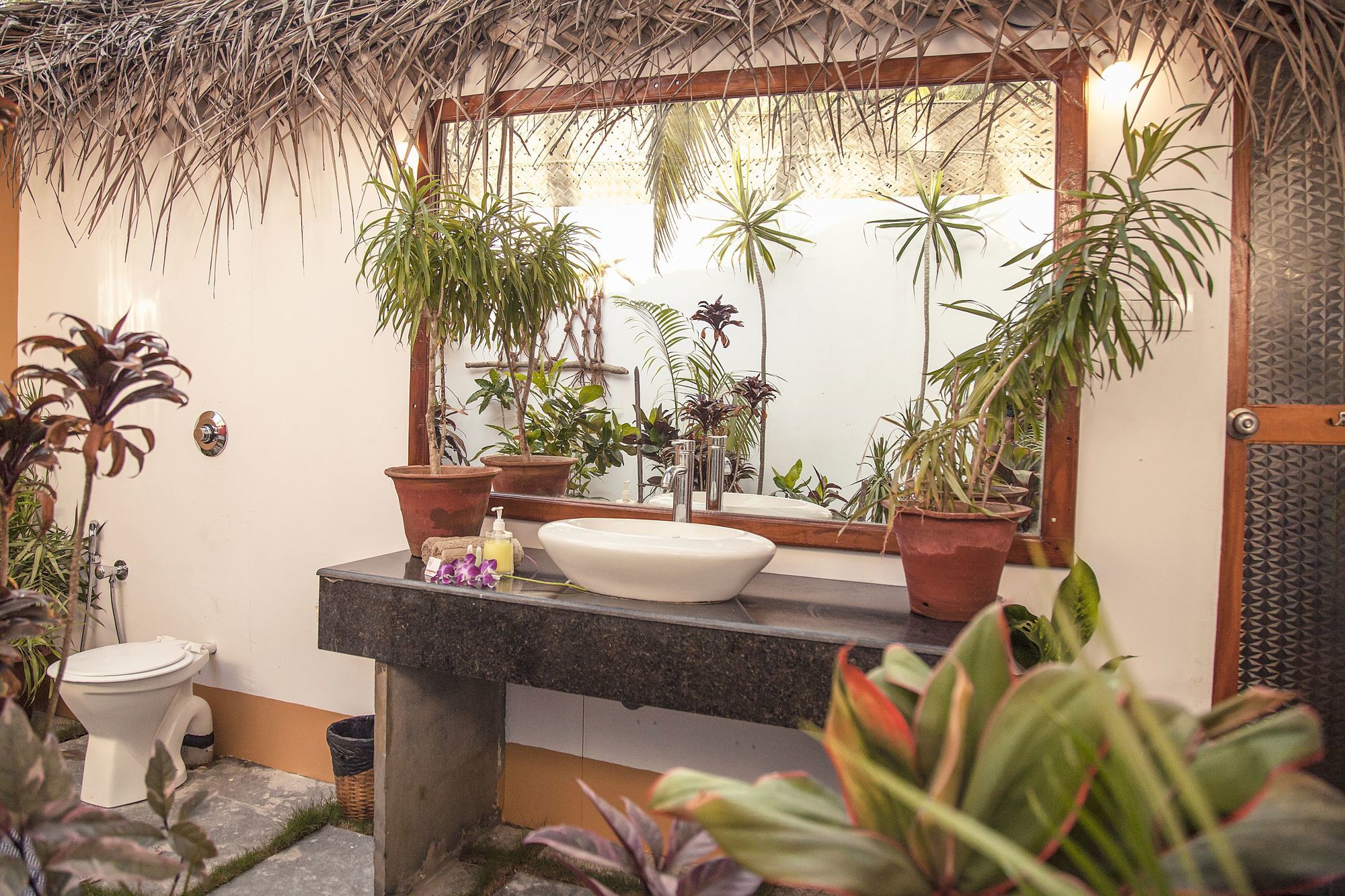 Фото Mariposa Beach Grove