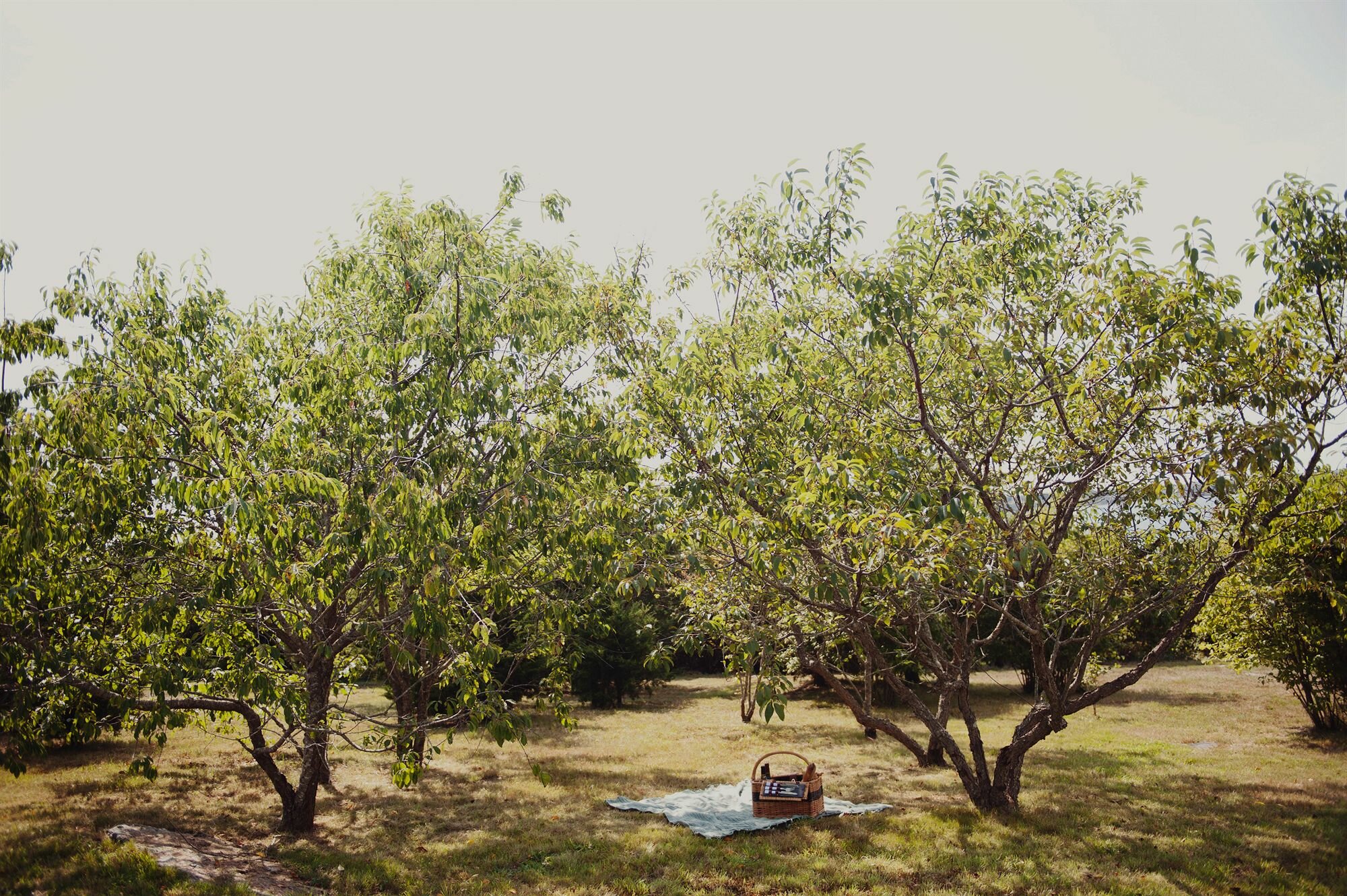 Фото Castle Hill Inn