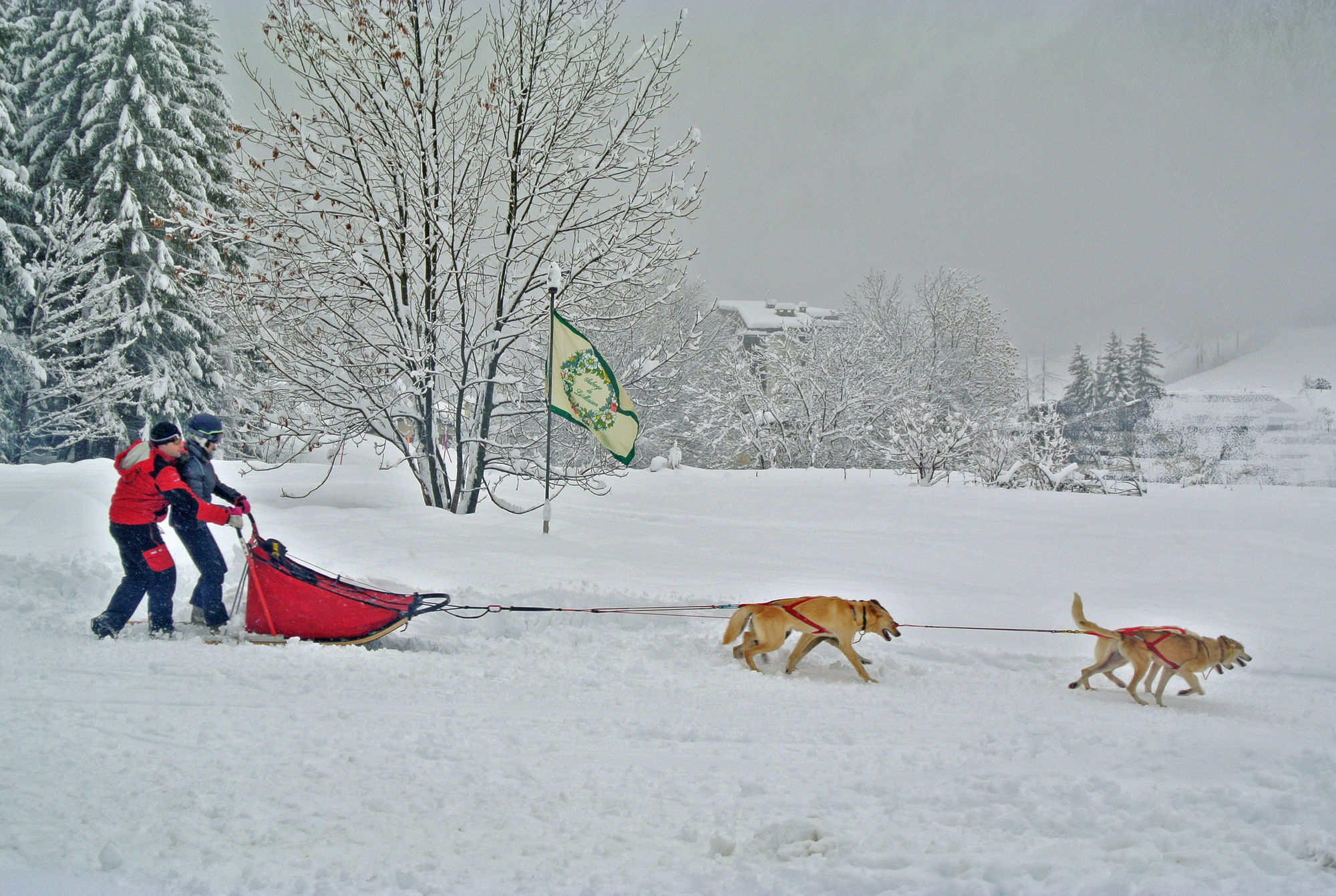 Фото Auberge de La Maison