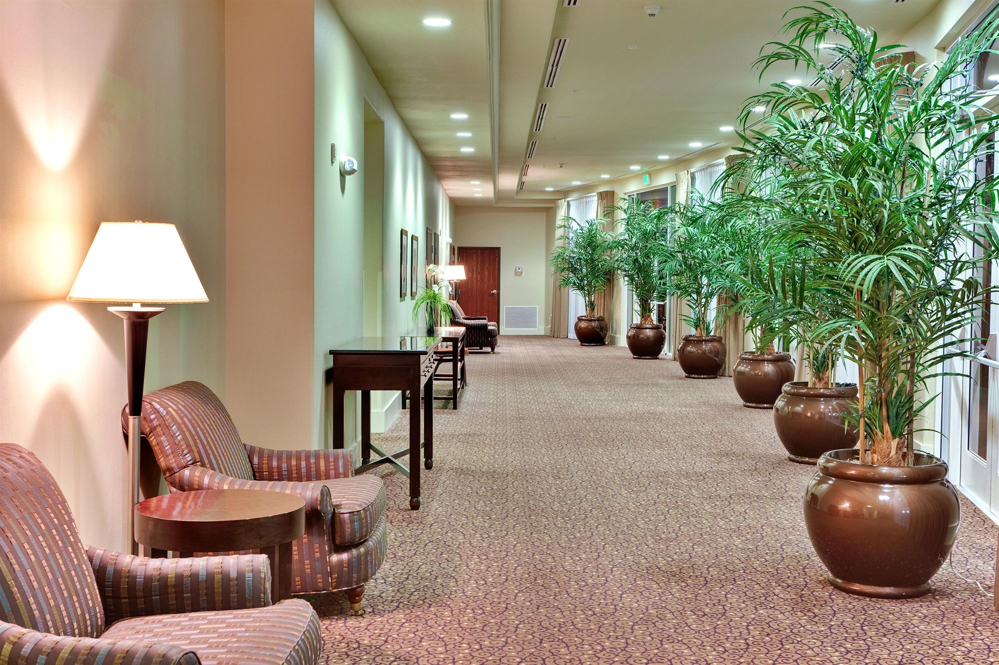 Фото Holiday Inn Yuma, an Ihg Hotel