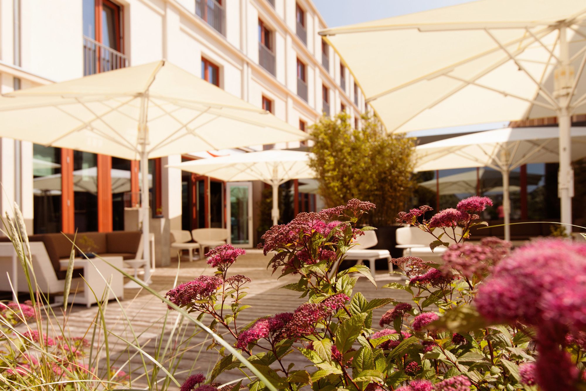 Фото A-rosa Sylt