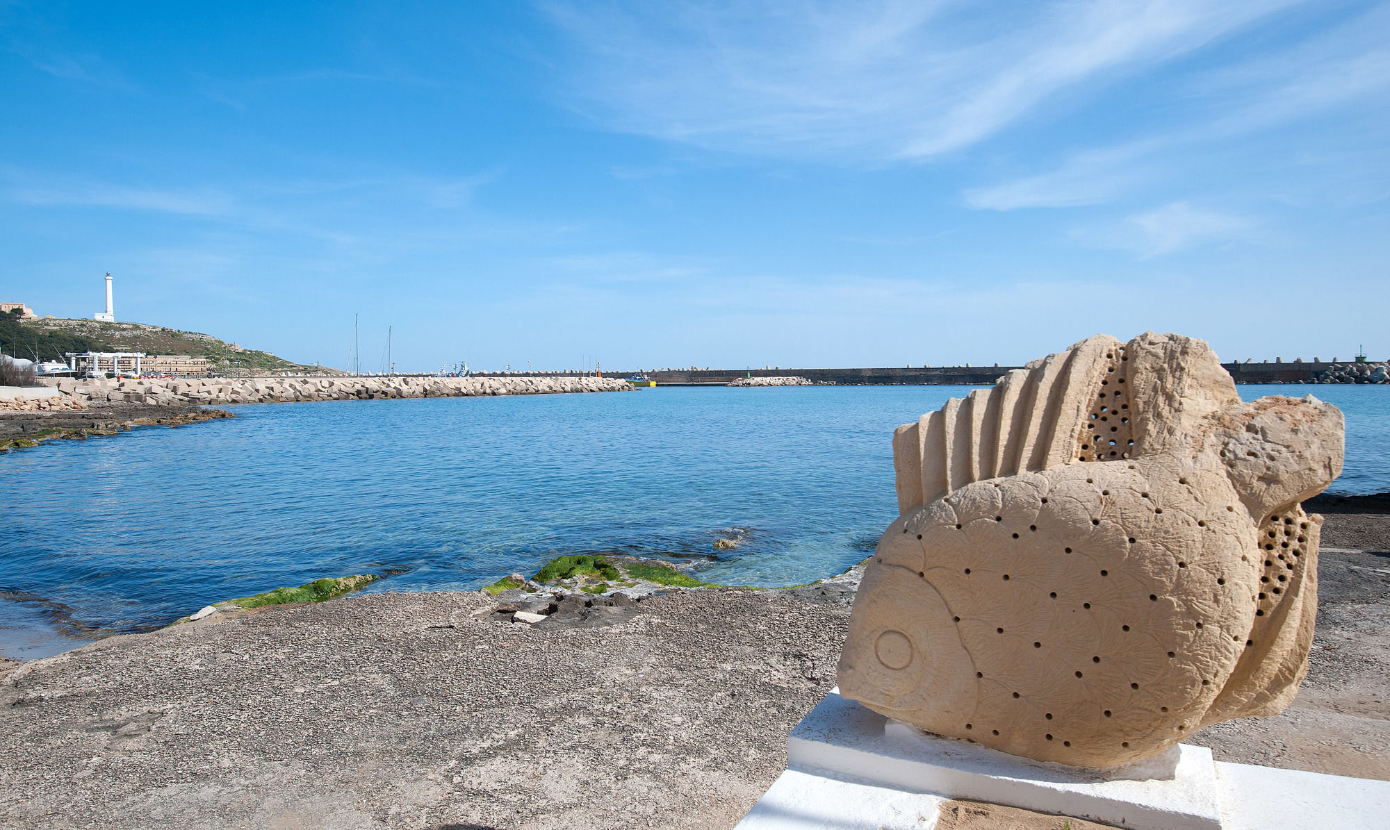 Фото Hotel Terminal - Caroli Hotels