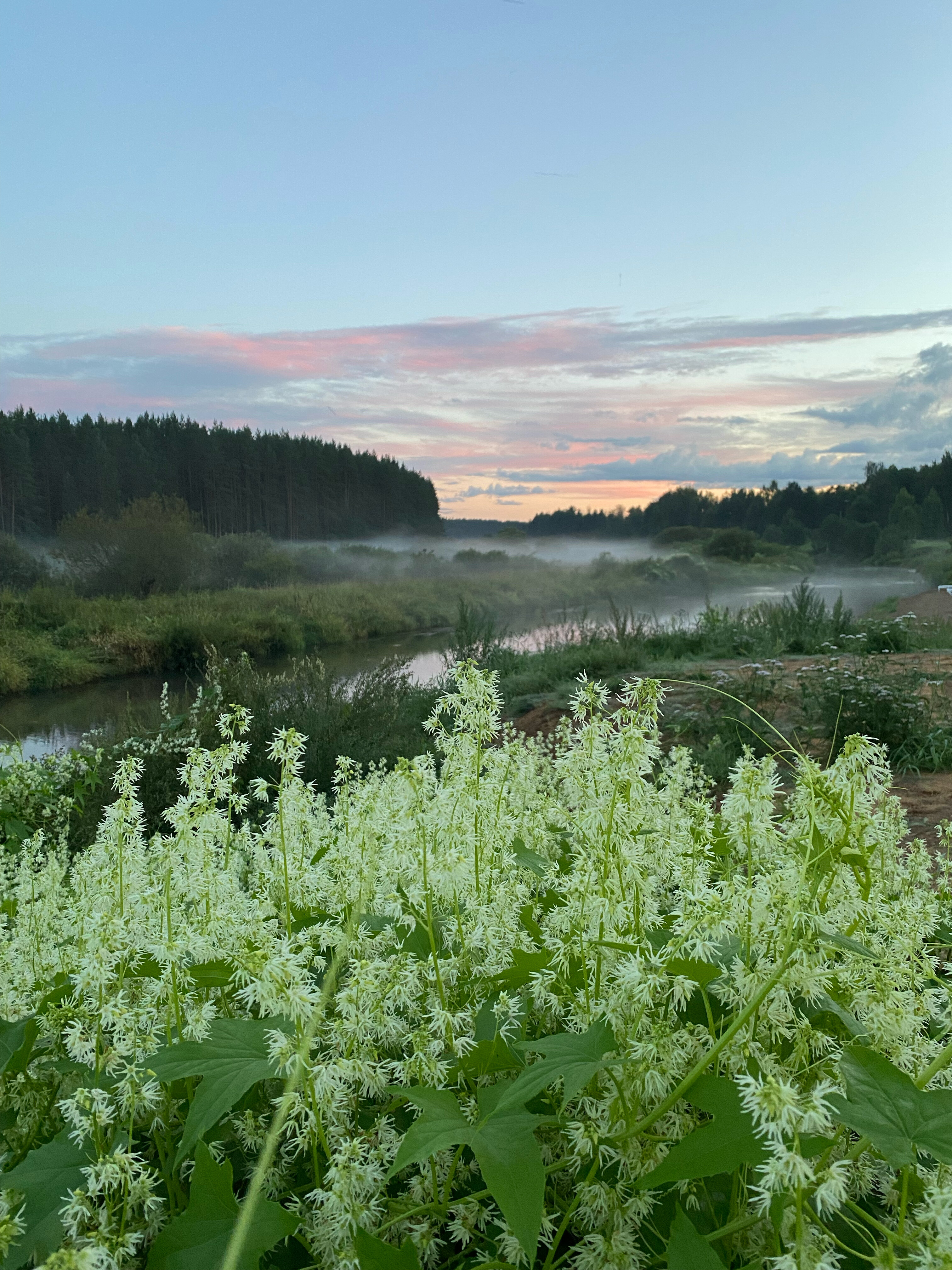 Фото Парк-отель Тутань