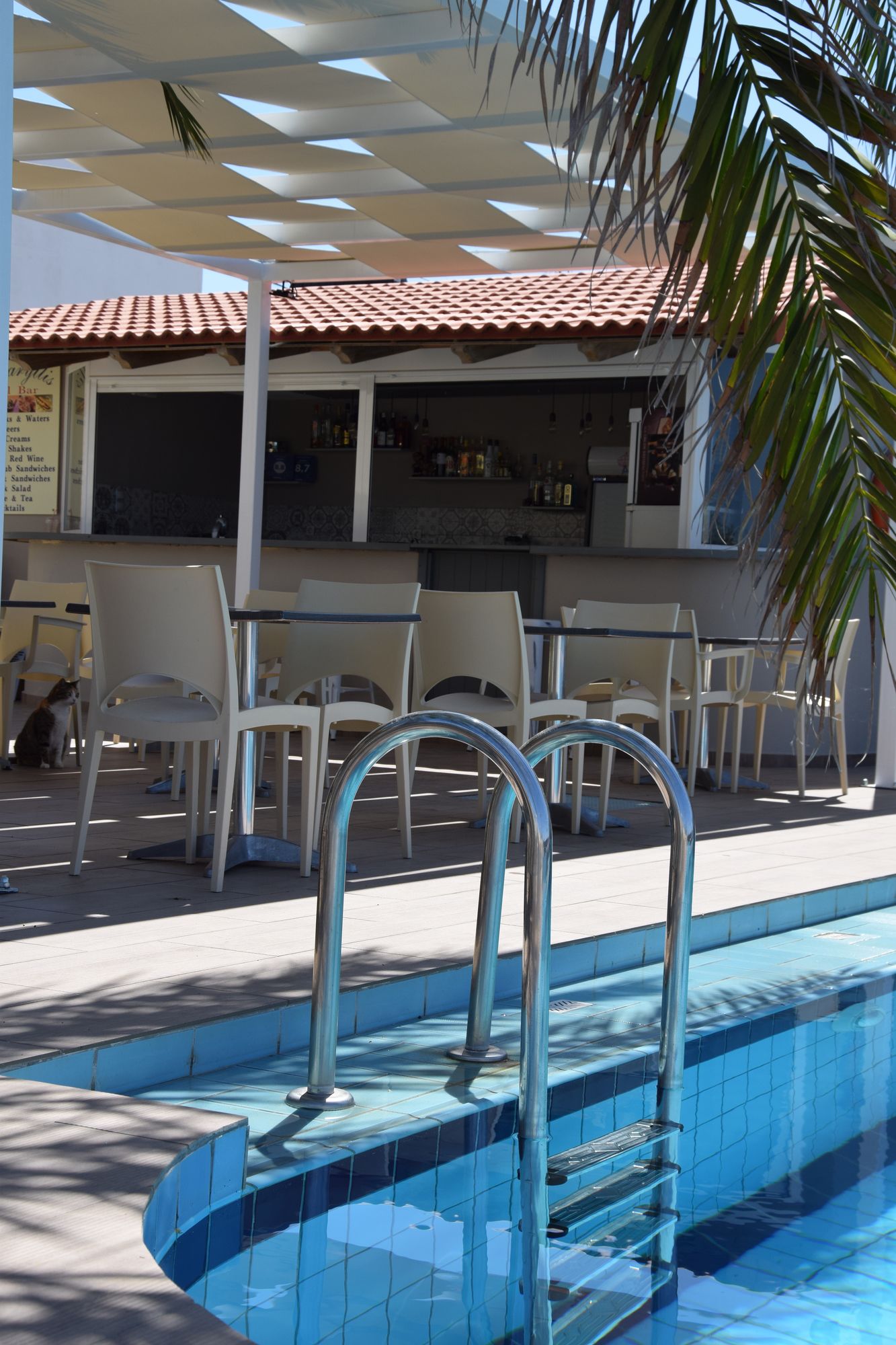 Фото Amaryllis Hotel Apartments