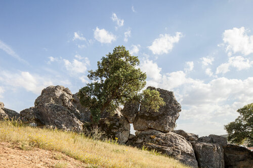 Гостиница Monte da Esperança