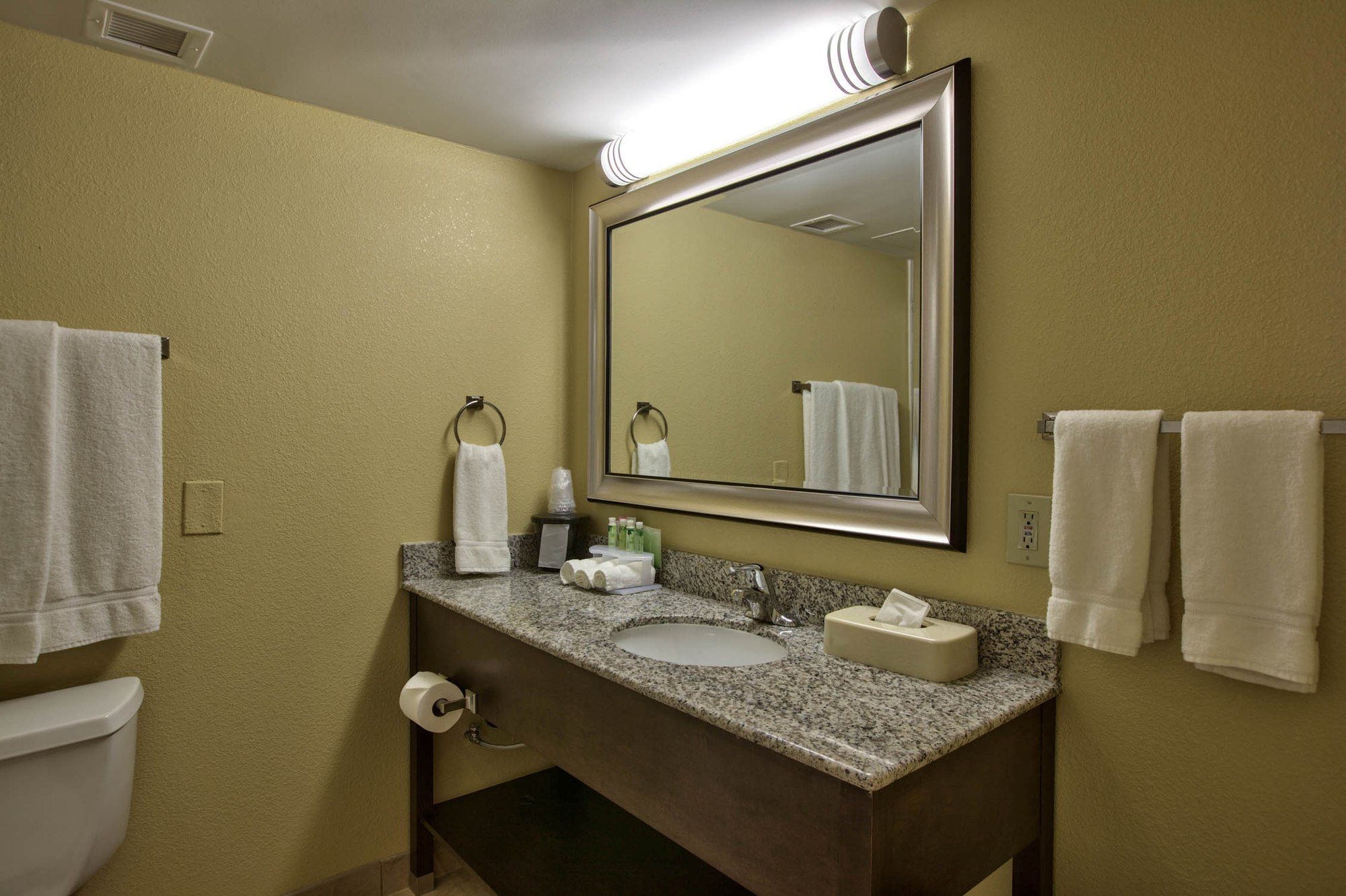 Фото Holiday Inn Express Tallahassee - I-10 E, an Ihg Hotel