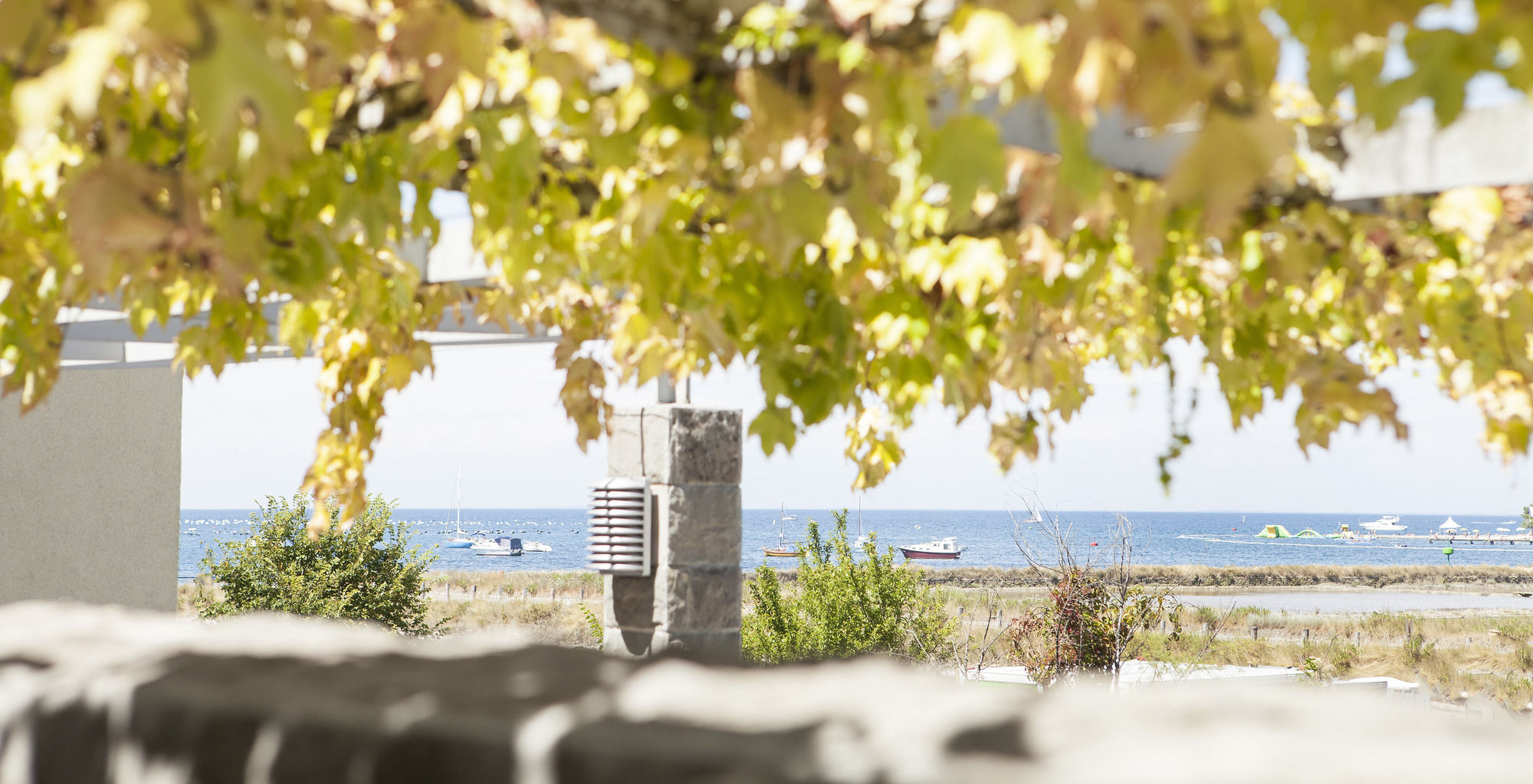 Фото Hotel Oleander