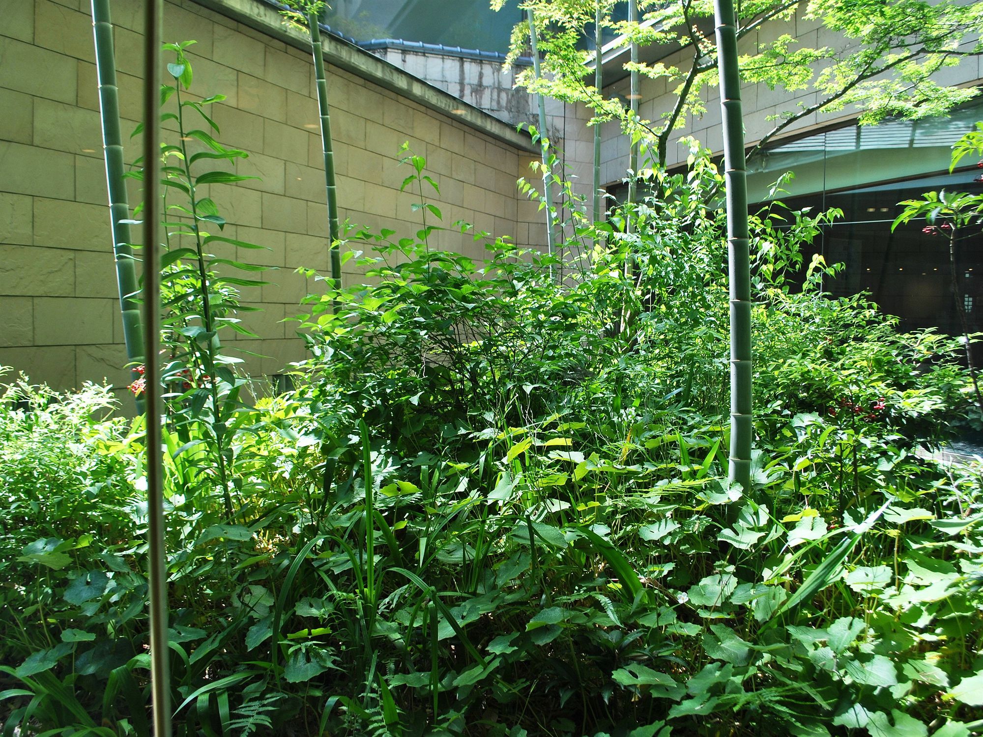 Фото Ark Hotel Kumamotojomae - Route-inn Hotels