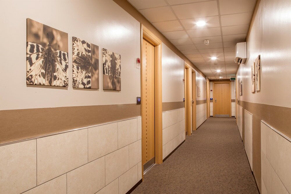 Фото Hotel Domidea