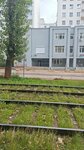 Военкомат Академического и Ленинского районов (Michurina Street, 231), military commissariat