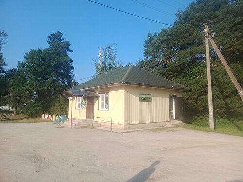 Grocery Алёнка, Novgorod Oblast, photo