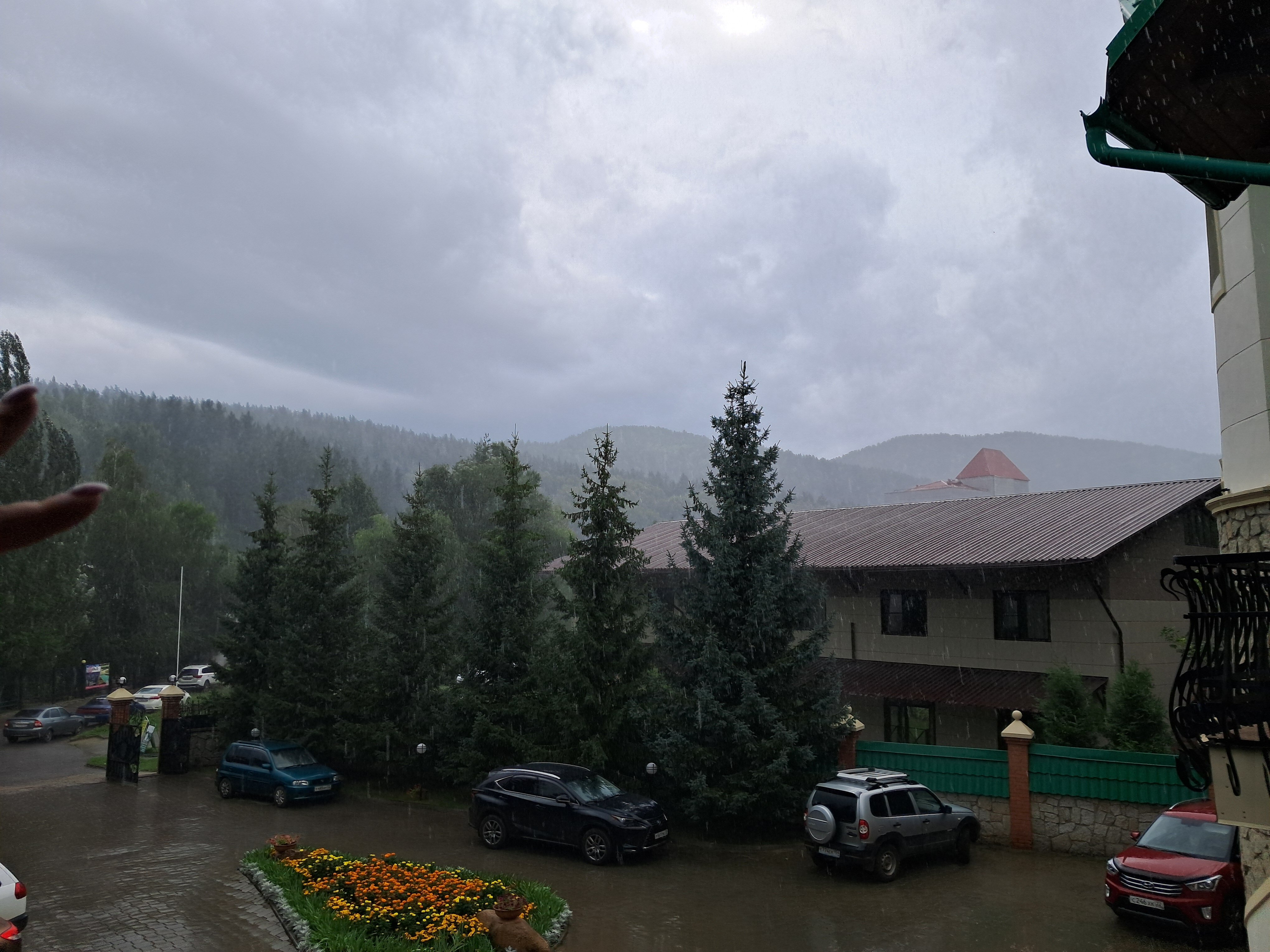 Фото Беркут