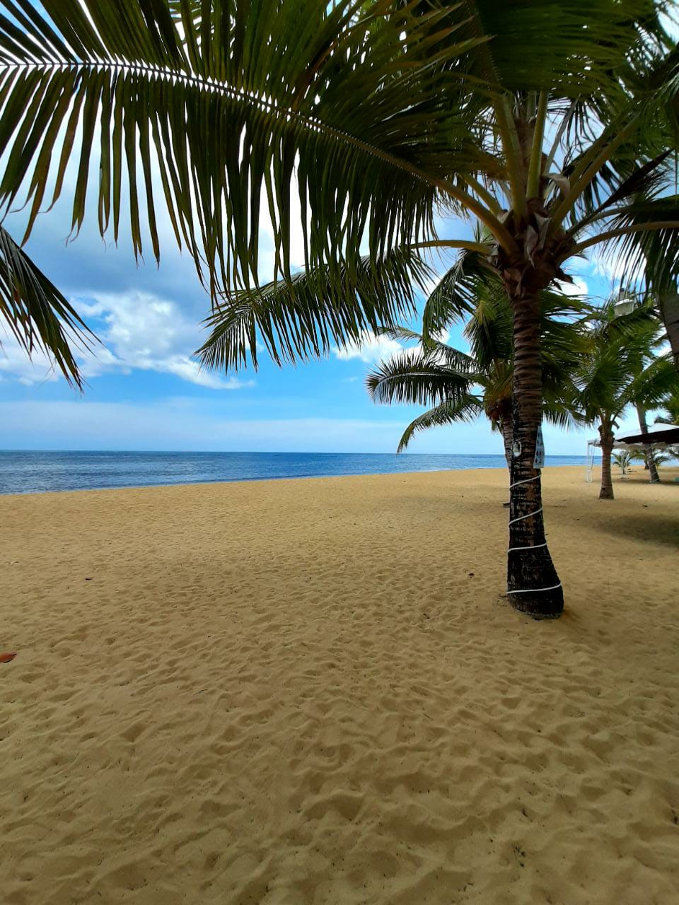 Фото Playa Colibri