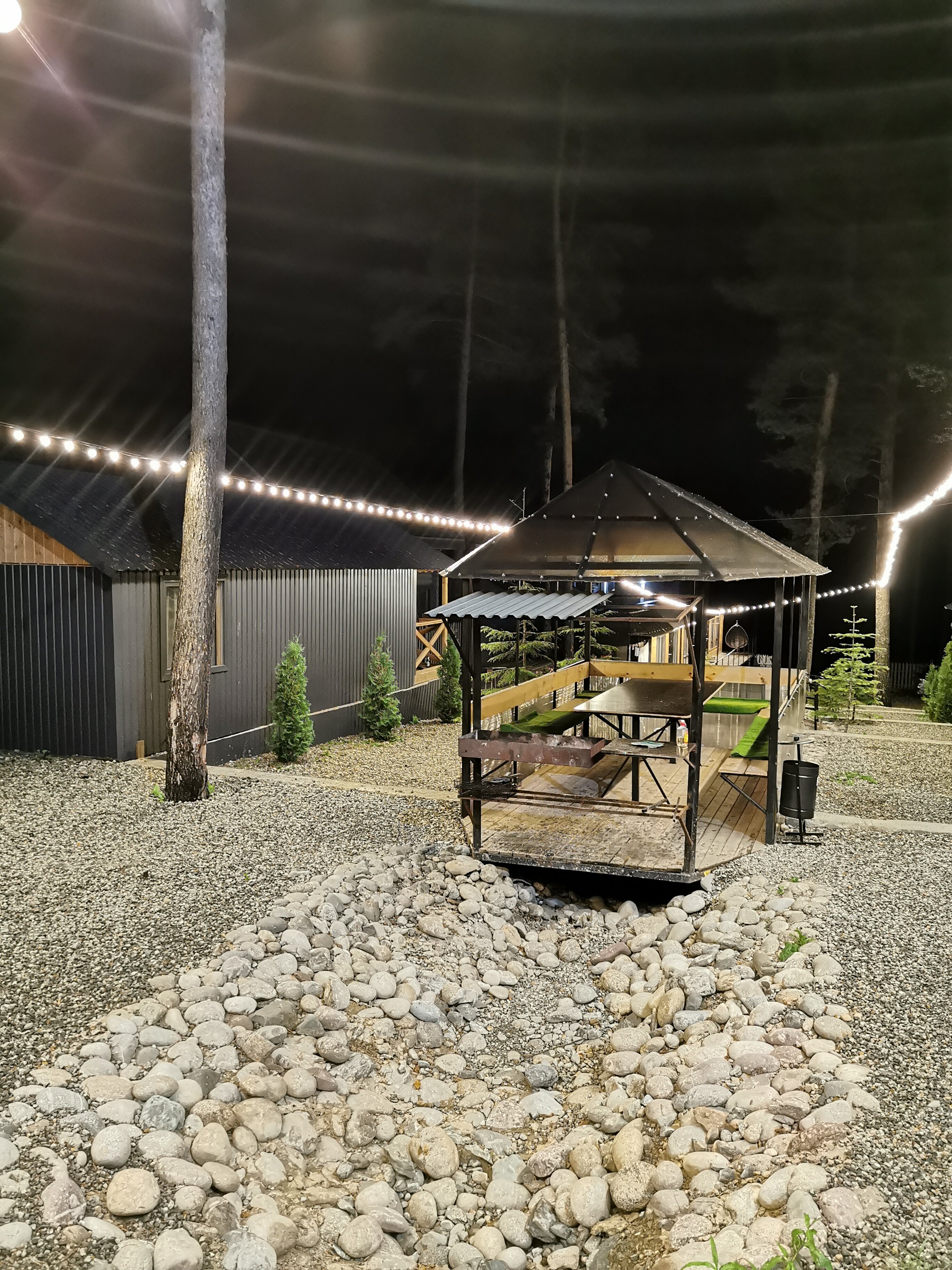 Фото Сосновка