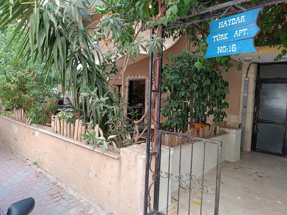 Business consulting Alfamera Consulting and Izek, Izmir, photo