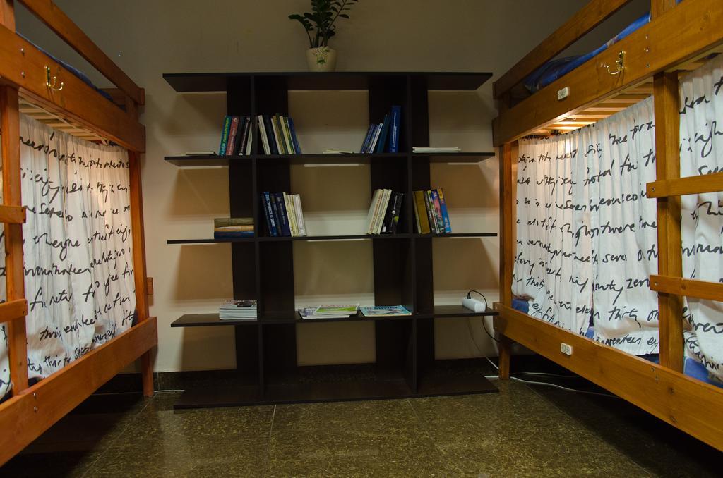 Фото Крылья