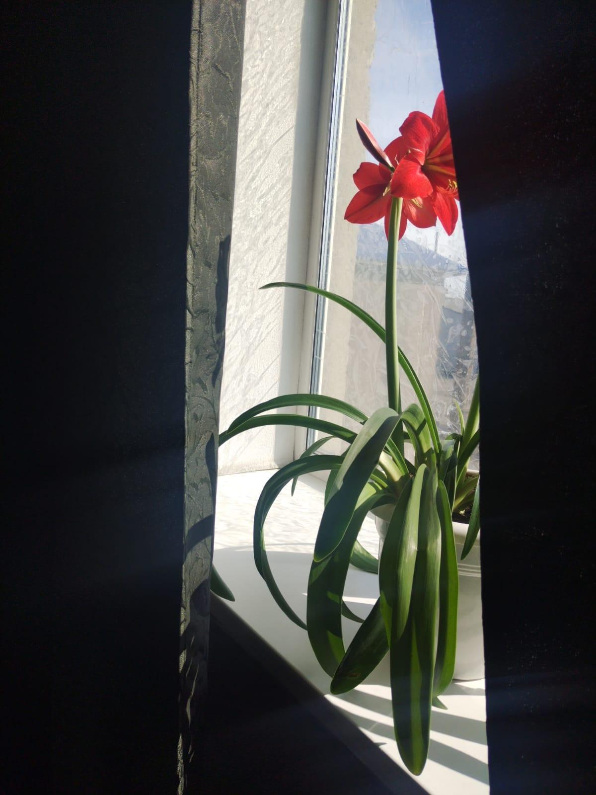 Фото Гостиница Ё