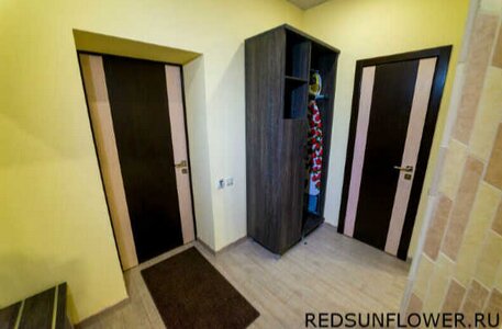 Фото Красный Подсолнух