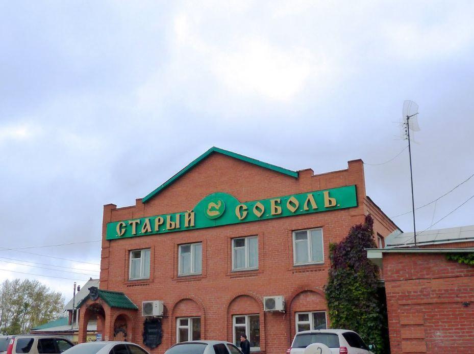 Фото Старый соболь