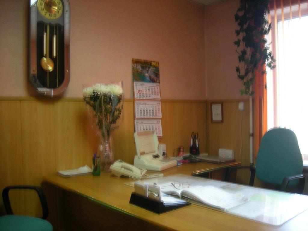 Фото Лаванда