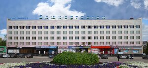 Кактус