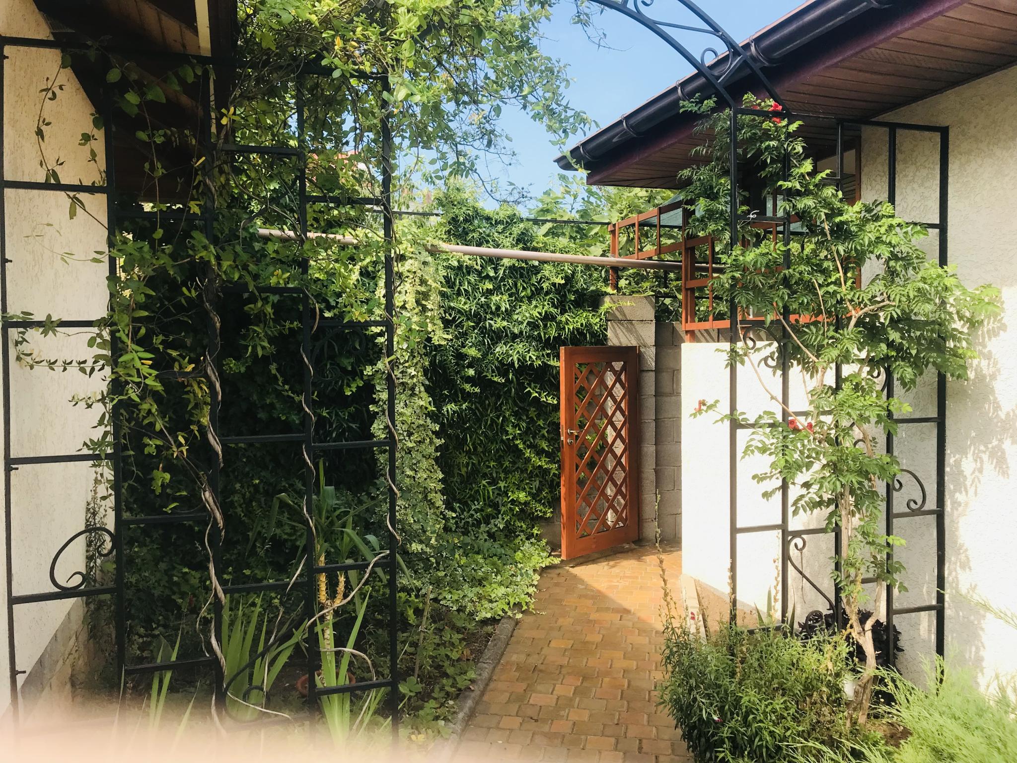 Фото Легкий Бриз