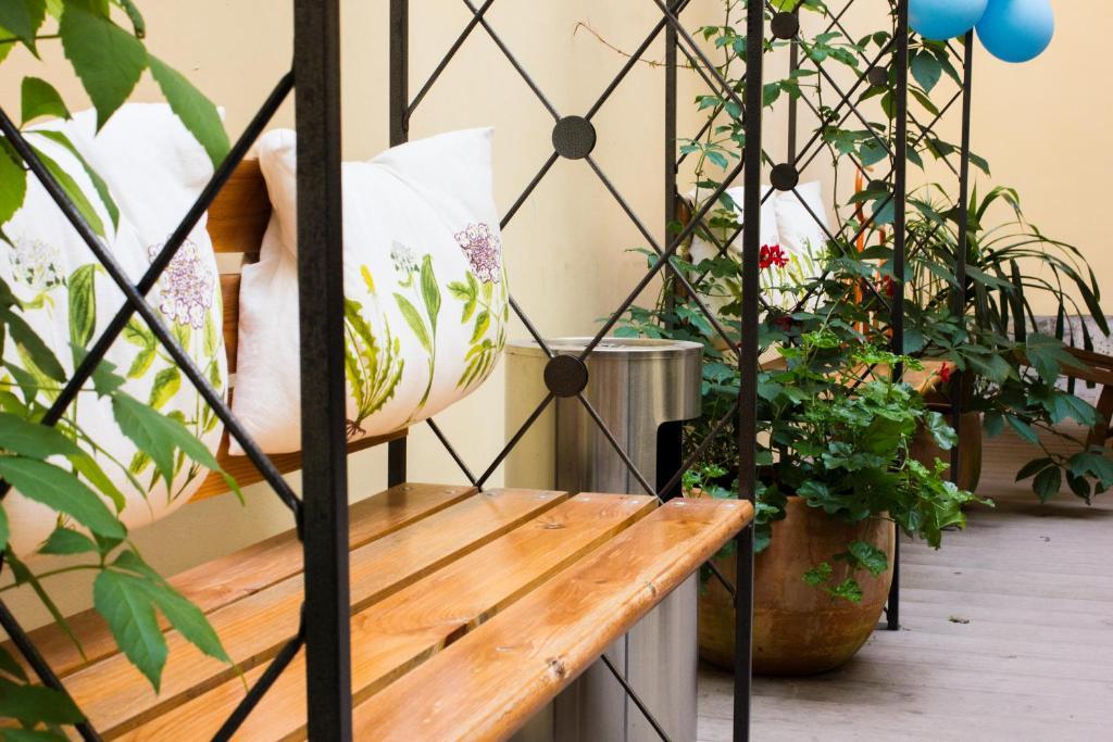 Фото Маэстро