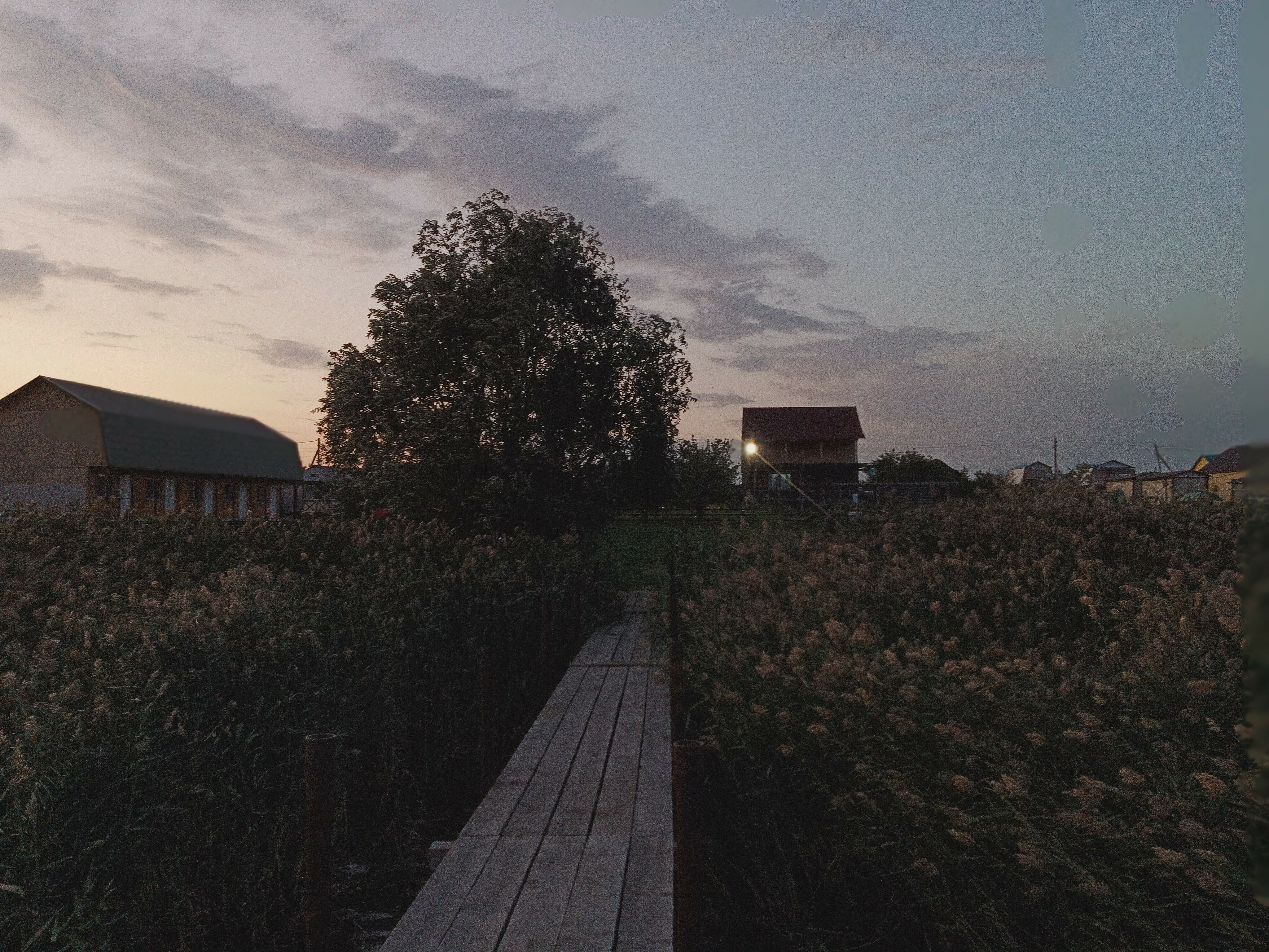 Фото Медвежье