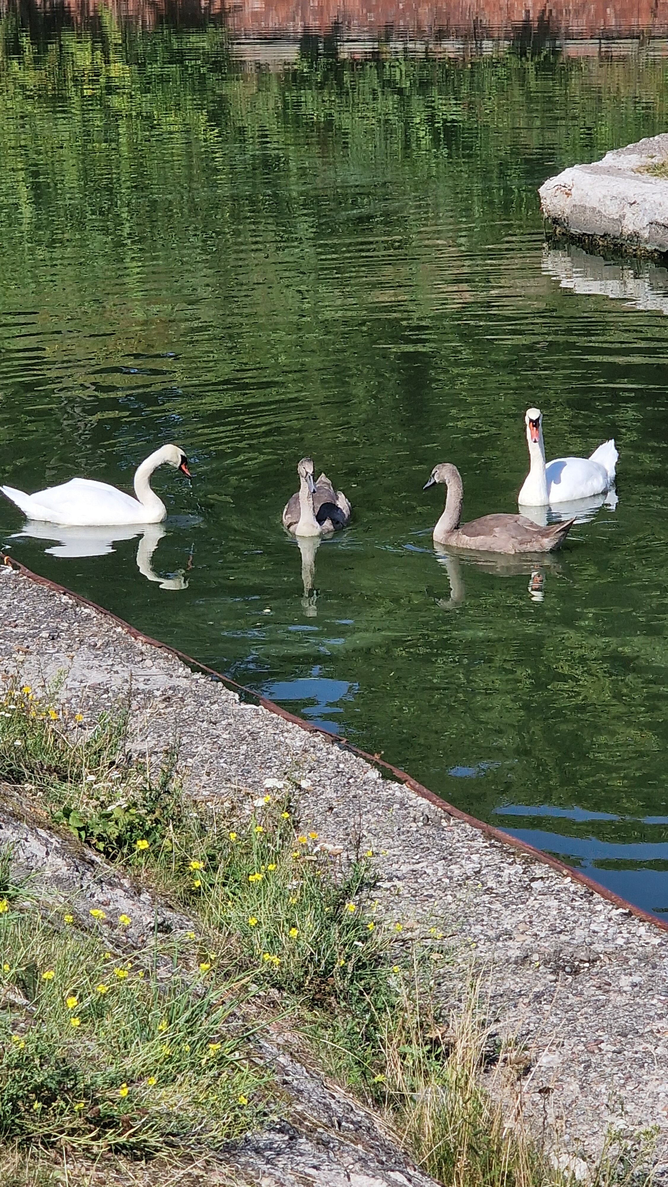 Фото Вилла Татьяна на Верхнеозерной