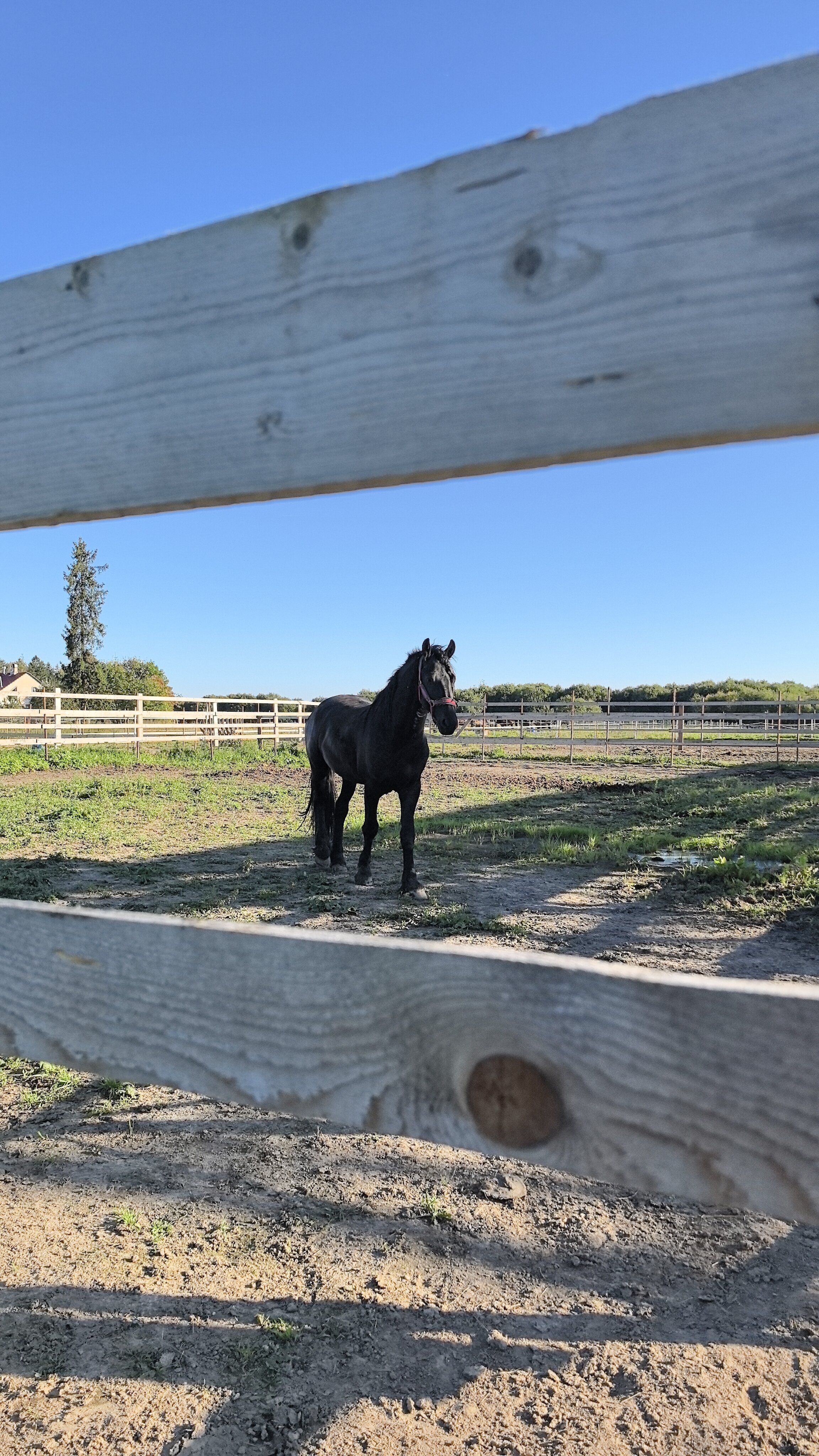 Фото Монтенегро