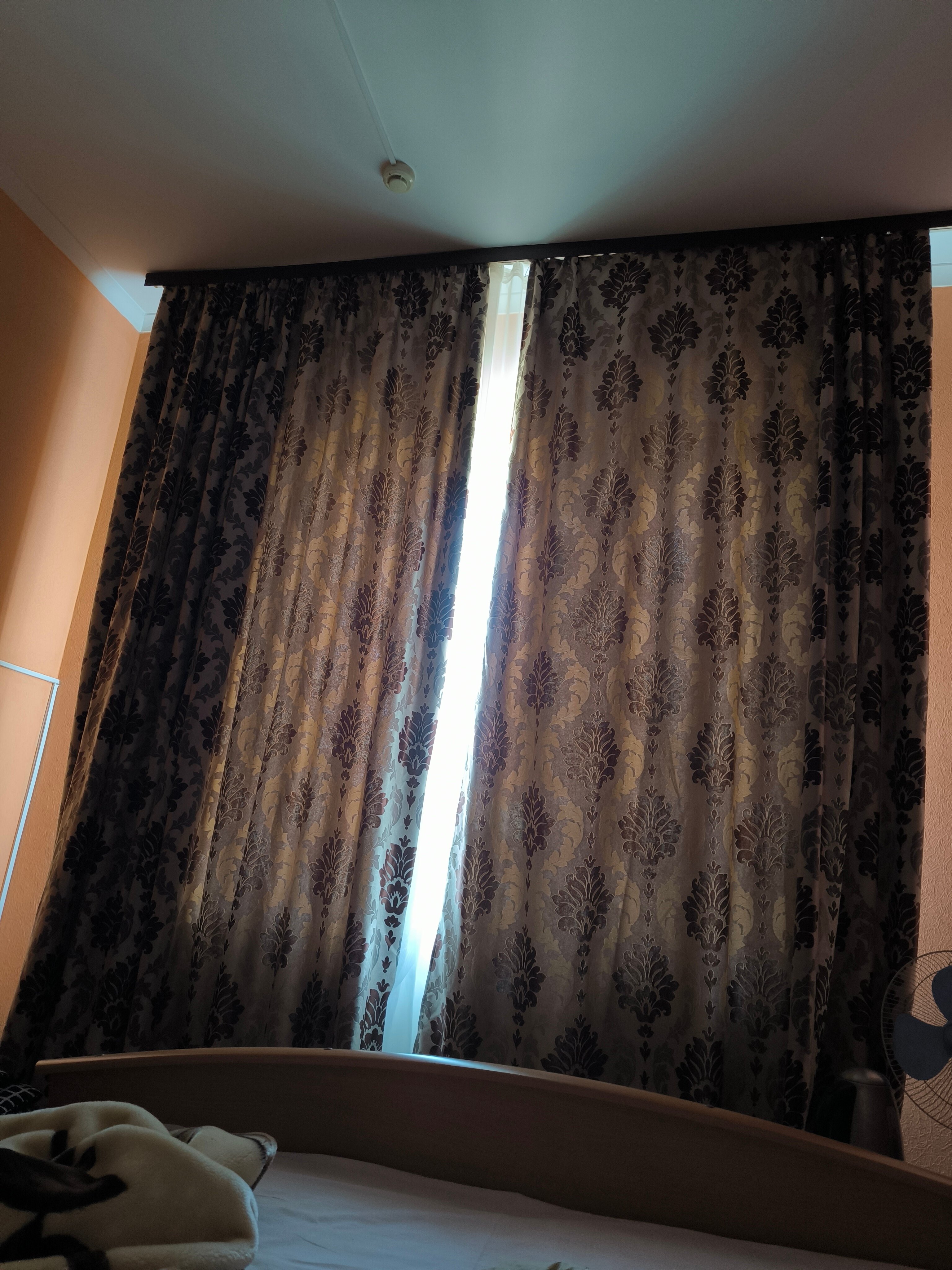 Фото Глория