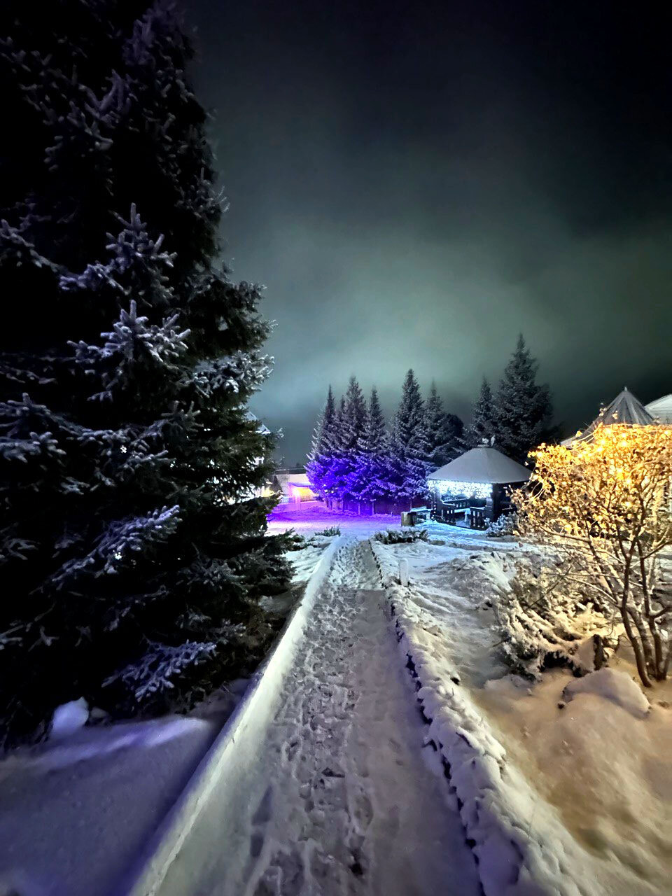 Фото Флагман