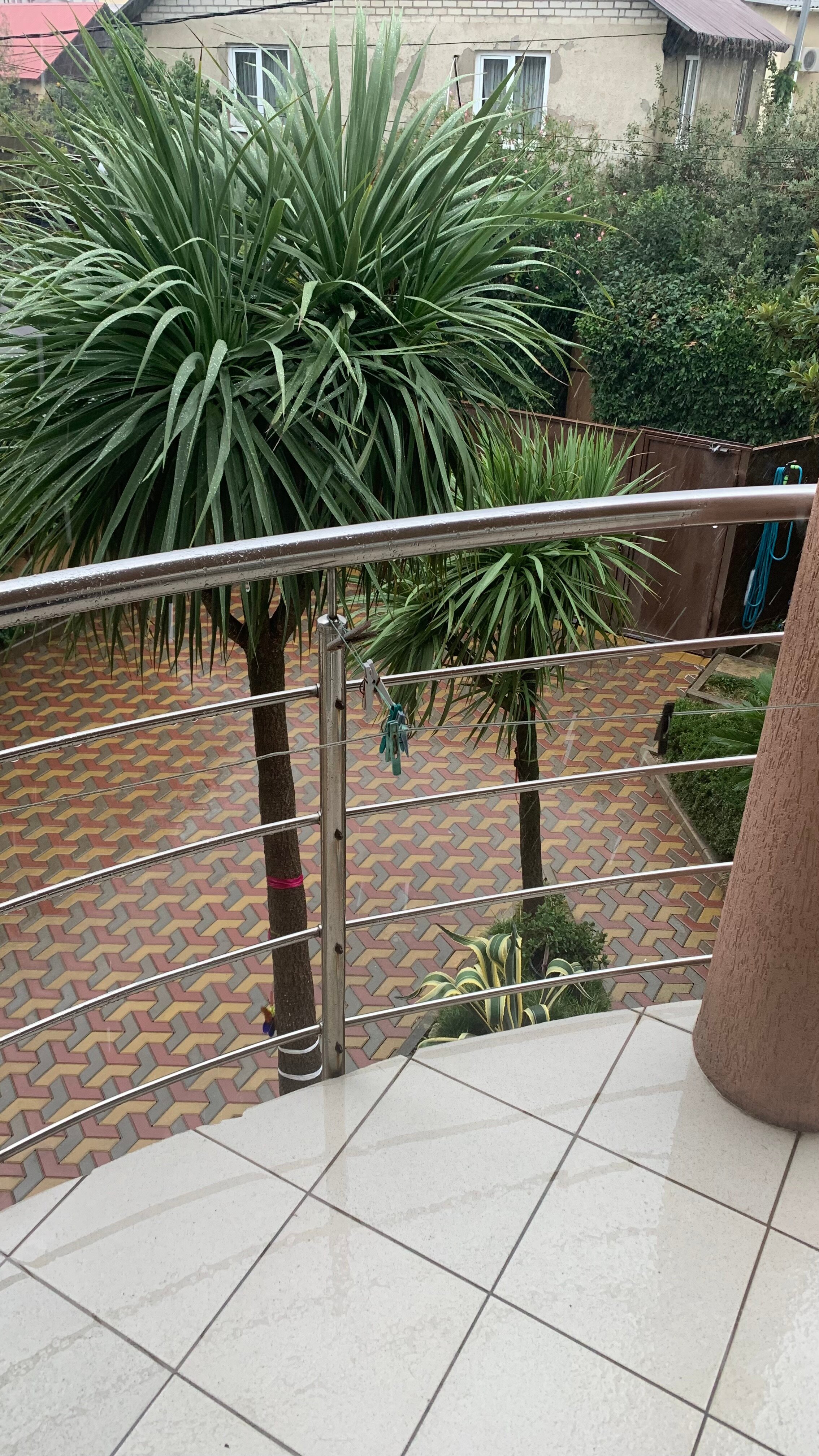 Фото Аврора