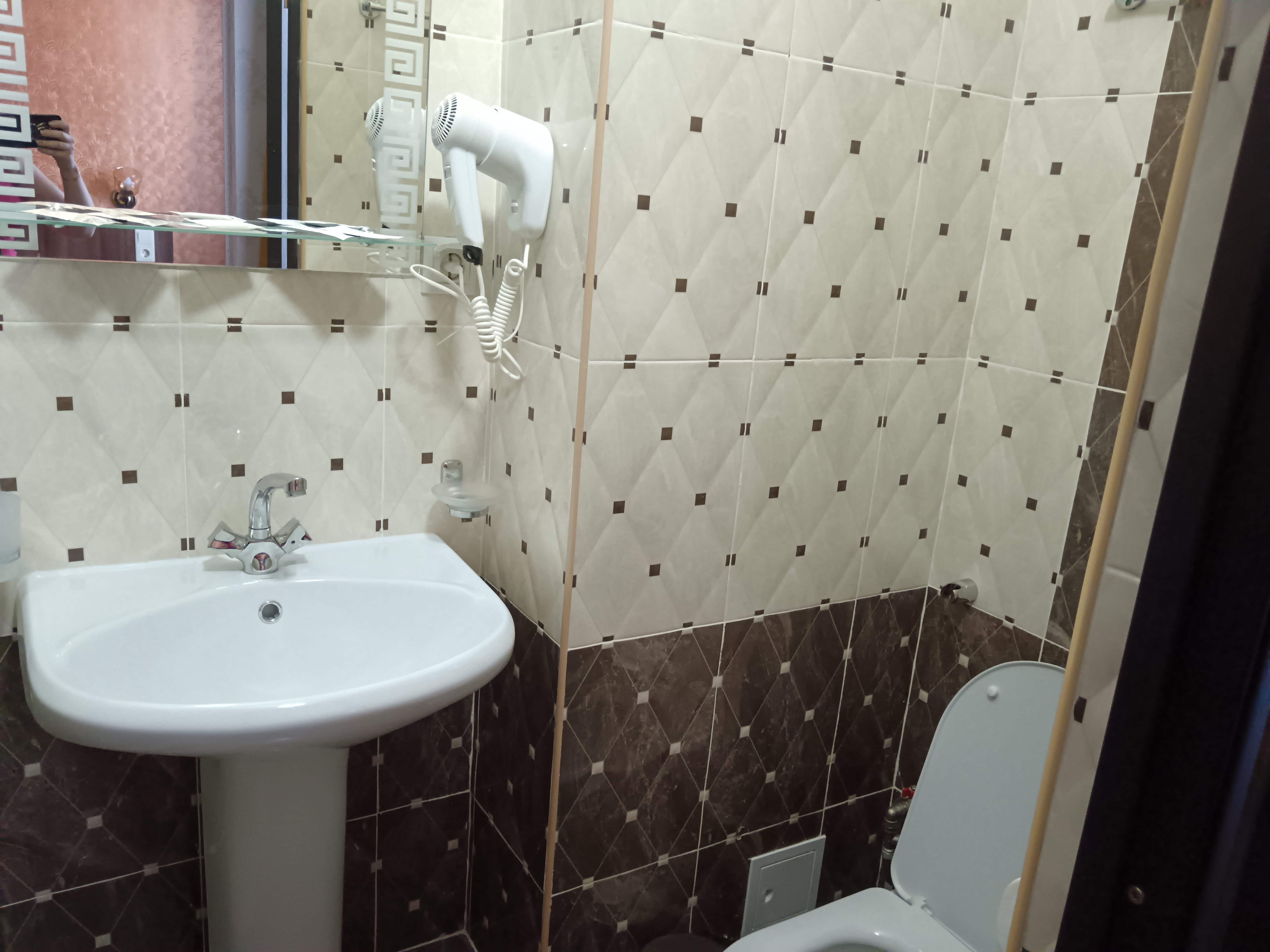 Фото Багира