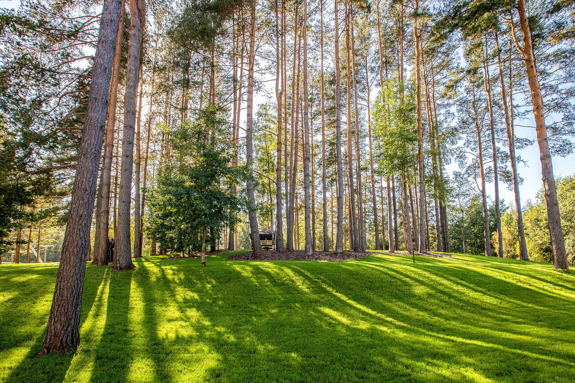 Фото Тюрьма для жира