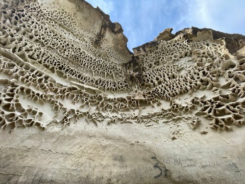 Кәсіби емес эротикалық фотосуреттерді қараңыз