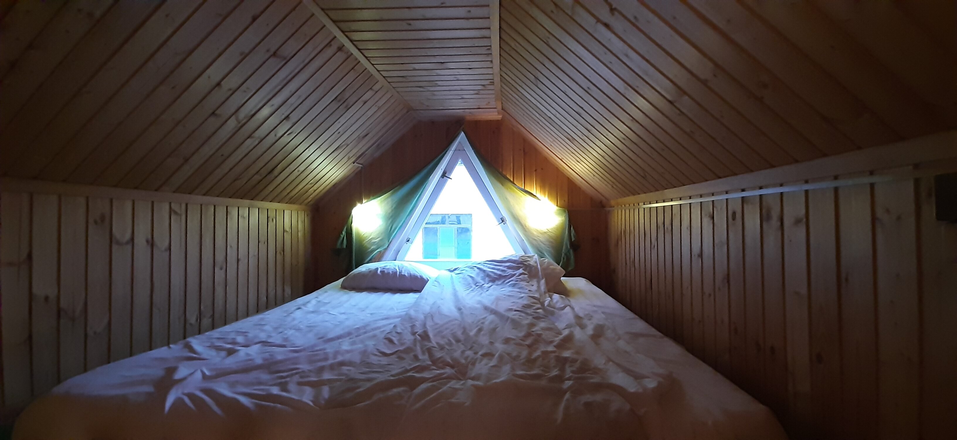 Фото Чилли на вилли